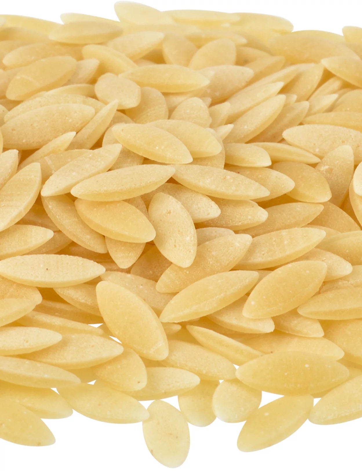 Rustichella Orzo Pasta 17.6oz – 12 units